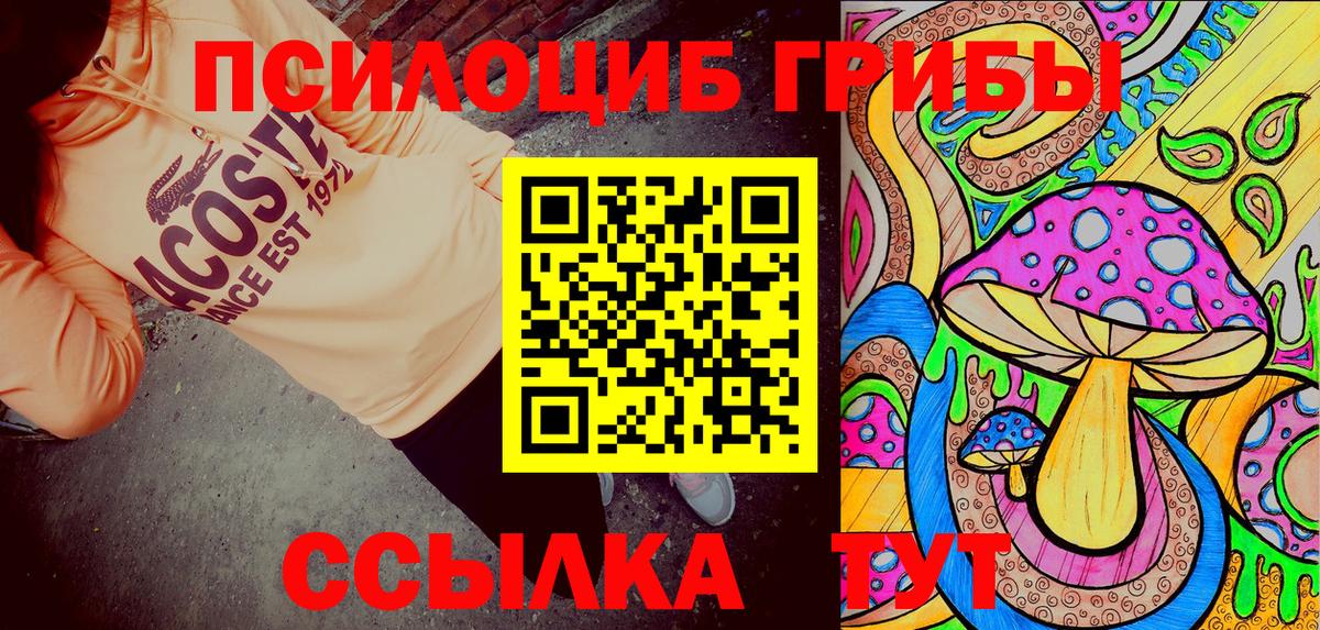 Галлюциногенные грибы Cubensis  Вход с VPN  Кимовск  Псилоцибиновые грибы Cubensis 